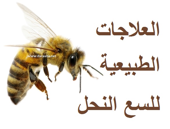 العلاجات الطبيعية للسعة النحلة – IFARASHA