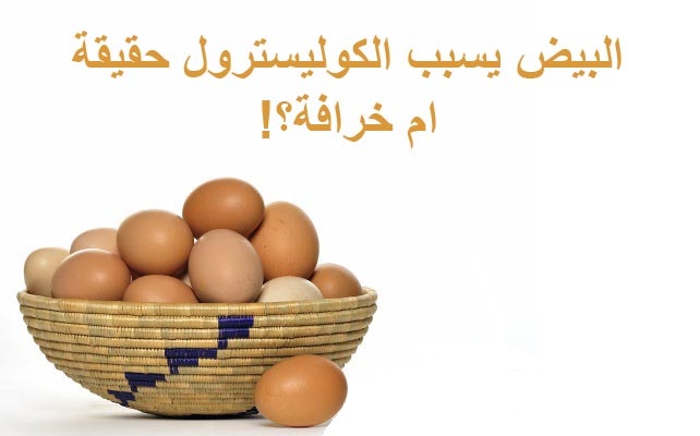البيض يسبب الكوليسترول حقيقة ام خرافة ؟!