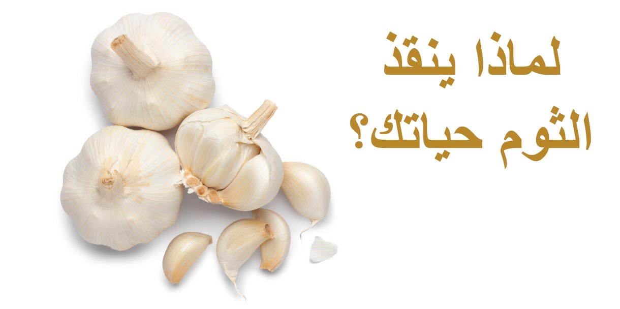 لماذا ينقذ الثوم حياتك؟