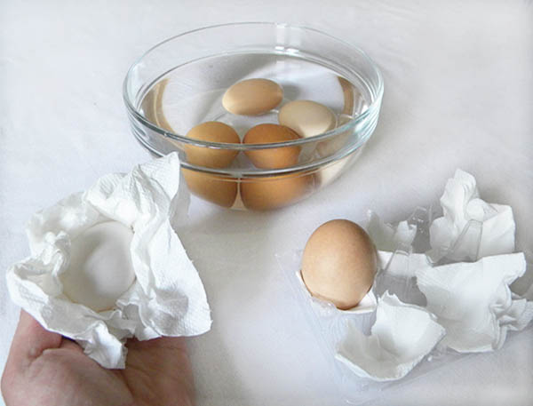 IFARASHA - غسل البيض