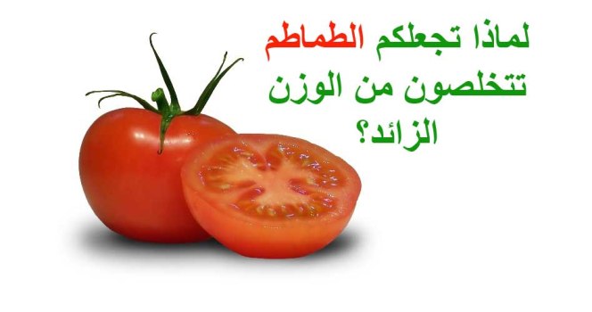 -ifarasha الطماطم لخسارة الوزن