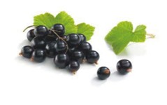 الأعشاب والالتهاب 7-ifarasha