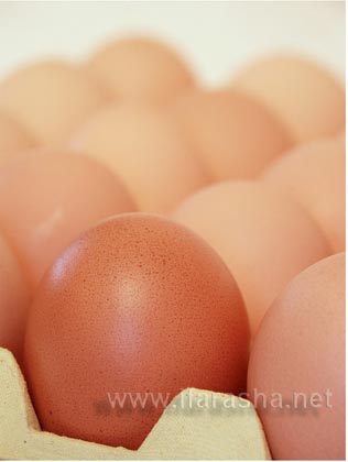 البيض 1-ifarasha