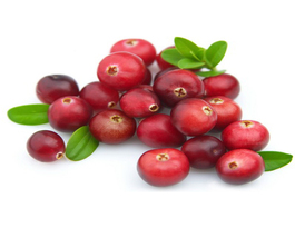 Ripe berries of a cranberry on a white background close up