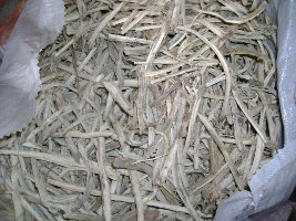 التهاب المثانة 7-ifarasha