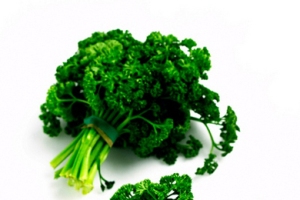 التهاب المثانة 8-ifarasha