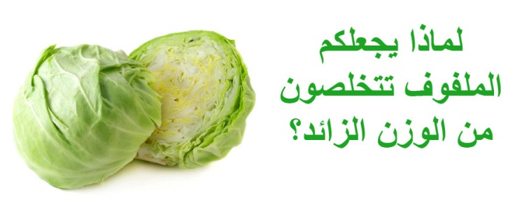 الملفوف لخسارة الوزن-ifarasha