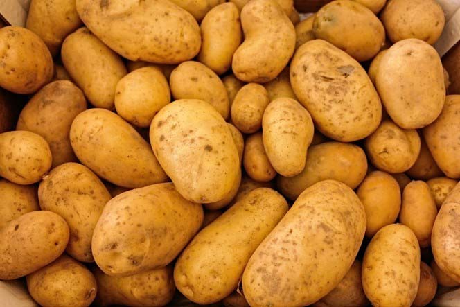 عائلة بأكملها تموت بسبب… البطاطس ! غلطة غريبة !