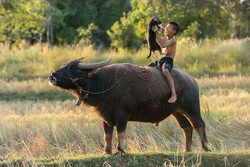 30 صورة أكثر من ساحرة لأولاد يلعبون حول العالم- ifarasha23