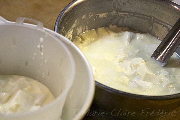 صناعة الجبنة البيضاء