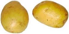 لماذا تصبح البطاطا خضراء 1-ifarasha