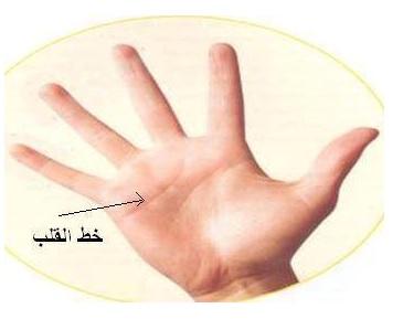 ifarasha-%d8%ae%d8%b7-%d8%a7%d9%84%d9%82%d9%84%d8%a8-%d9%81%d9%8a-%d8%a7%d9%84%d9%8a%d8%af-02
