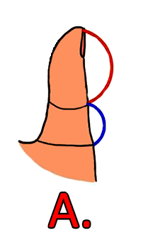 ifarasha-%d8%a5%d8%b1%d8%aa%d8%a8%d8%a7%d8%b7-%d8%a7%d9%84%d8%a3%d8%b5%d8%a7%d8%a8%d8%b9-%d8%a8%d8%a7%d9%84%d8%ad%d9%8a%d8%a7%d8%a9-%d8%a7%d9%84%d8%b9%d8%a7%d8%b7%d9%81%d9%8a%d8%a91