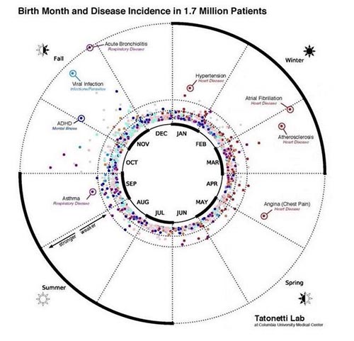 الصحة حسب شهر الميلاد
