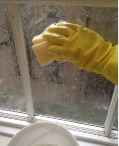 النظر عبر زجاج النافذة