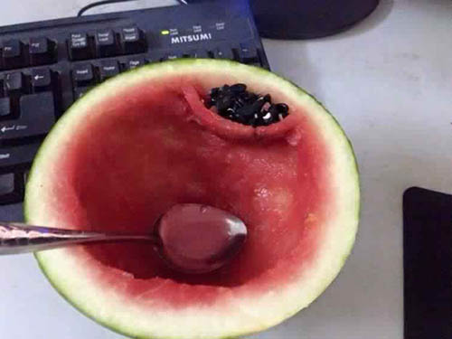 نصائح طبخ