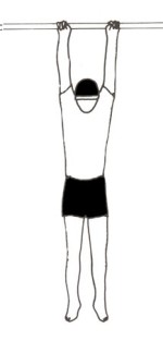 التدلي العامودي