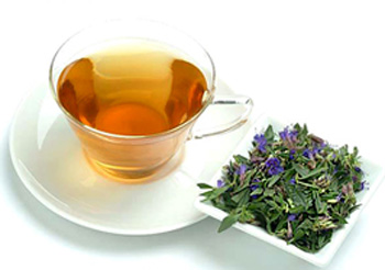 %d8%aa%d9%82%d8%b6%d9%8a-%d8%b9%d9%84%d9%89-%d8%a7%d9%84%d8%b3%d8%b9%d8%a7%d9%84