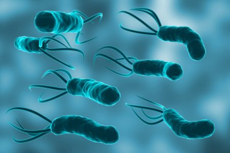 كيف تتخلصون من بكتيريا ال helicobacter pylori التي تسبب القرحة وحرقة المعدة والنفخة