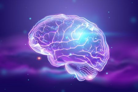 دماغكم ينكمش كل سنة. كيف تمنعون هذا الانكماش (1 )