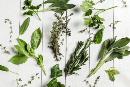 5 أعشاب تساعدكم عندما يصعب عليكم خسارة وزنكم